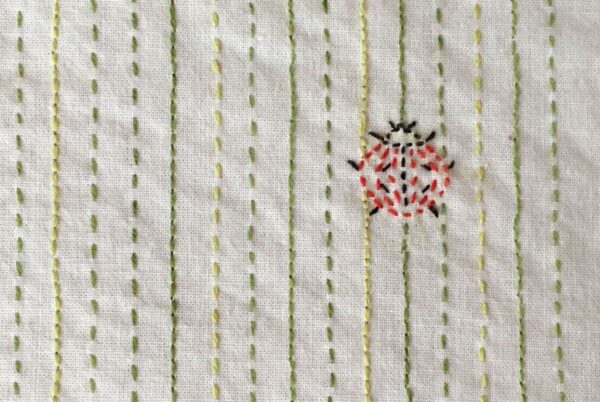 Closeup Image of Embroidered Ladybug