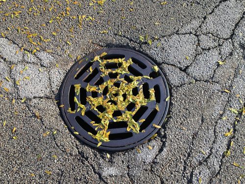 Street drain covered in leaves